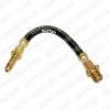 DELPHI LH5176 Brake Hose